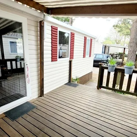 Lauriga - - Two Steps From The Saint-Jean-de-Monts